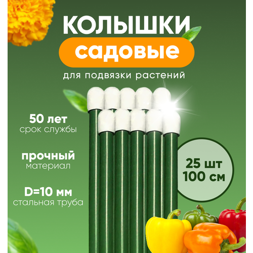 ���� ������� ������� , ����� ��� �������� �������� ����� 1� 25��, ������ �� 1699 ���