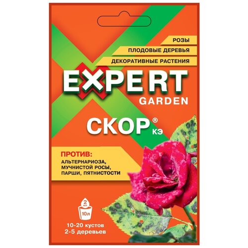  Expert Garden          , 2 , 5    -     , -, 