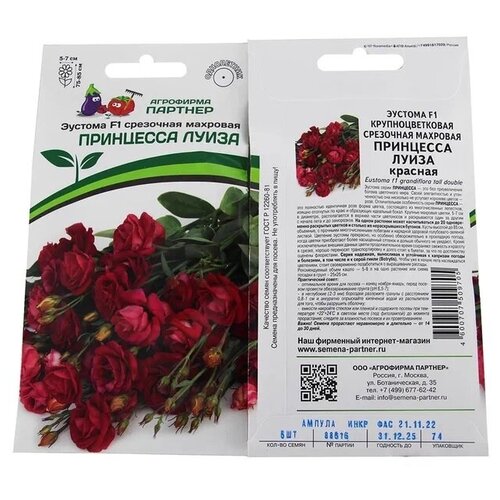 ���� ������ ������� ��������� ����� F1 /��������� �������/ 2 �������� �� 5 �����, ������ �� 750 ���