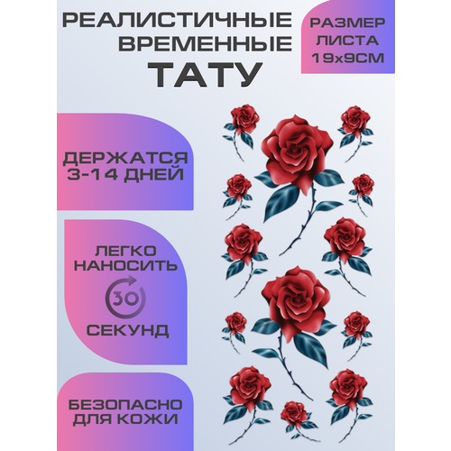 ���� ���� ���������� ��������������, ��������� ������� ����, ������ �� 399 ���