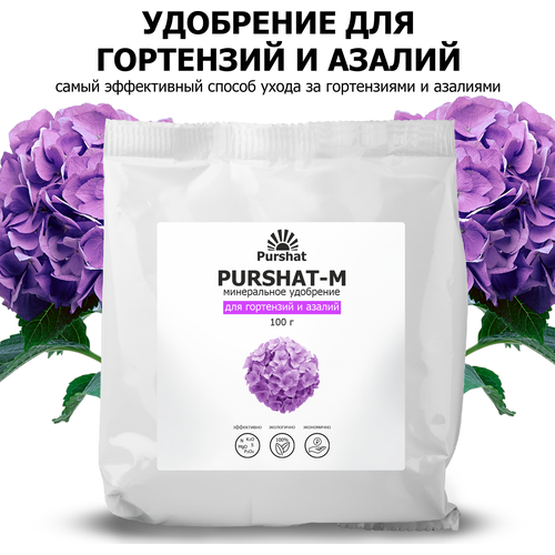    ,     (Purshat) 100    -     , -, 