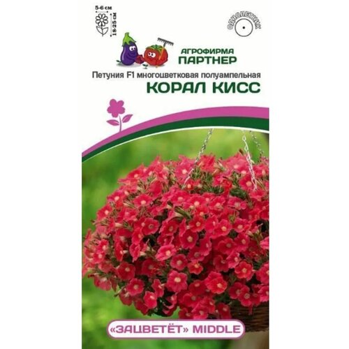 ���� ������ ������� �������������� ������������� 