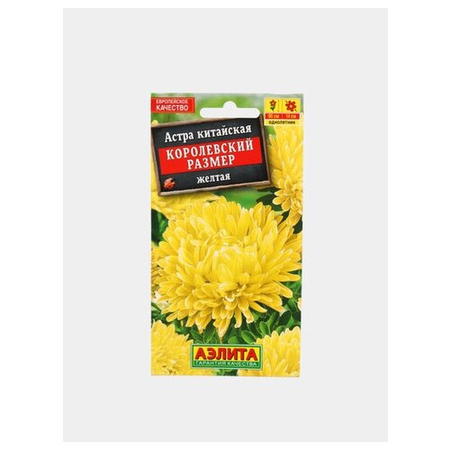 ���� ������. ����� 