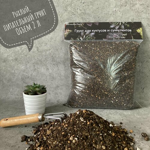 ���� ������� ����� ��� ���������� � �������� Terracotta Plants � �������� 2 �����, ������ �� 339 ���