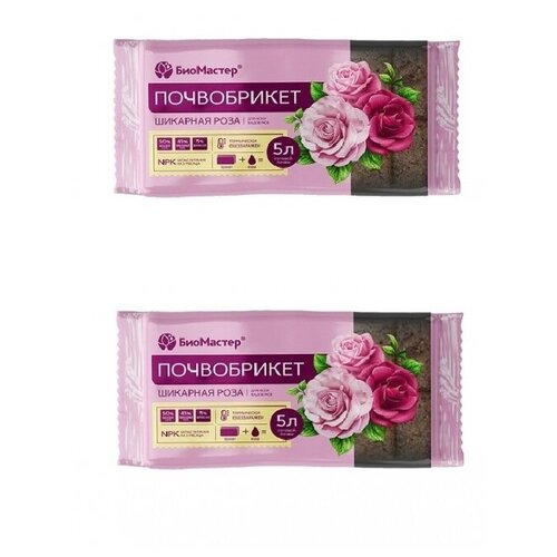 ���� ����������� ��������� �������� ���� 5�, �������� 2 �����, ������ �� 310 ���