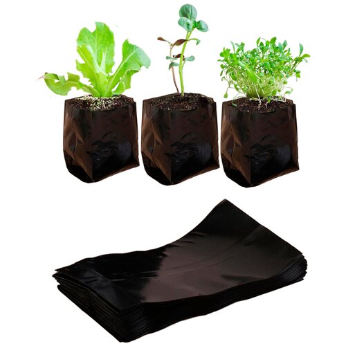     0,25 ,  , 50 ,   199 