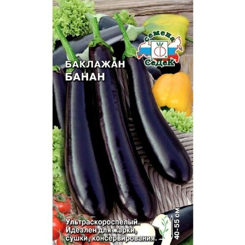 ���� �������� 