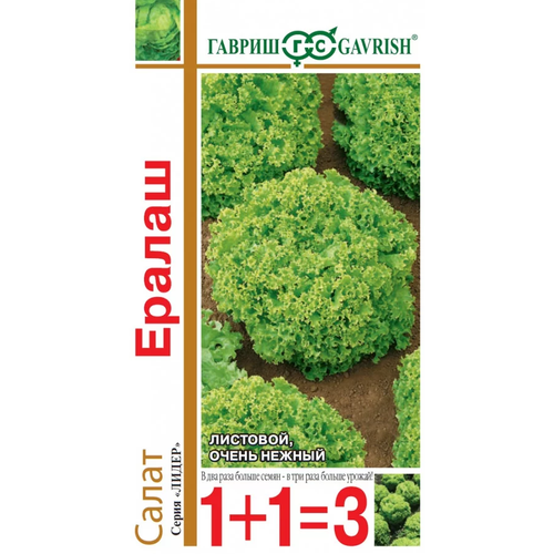 ���� ����� �������� ������, ������ ������ ( 1 ��: 1 � ), ������ �� 65 ���