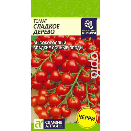 ���� ������ ����� ������� ������ ����� 0,1� ����� ������ (������ �����), ������ �� 55 ���