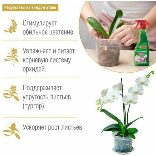 ���� ���������-����� ��� ������� 500 ��, ������ �� 650 ���