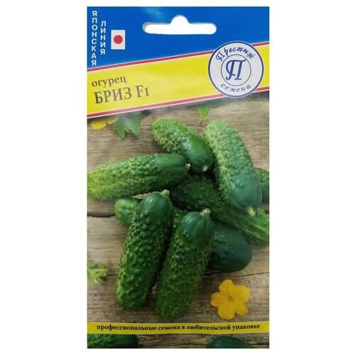 ���� ������ ������ 