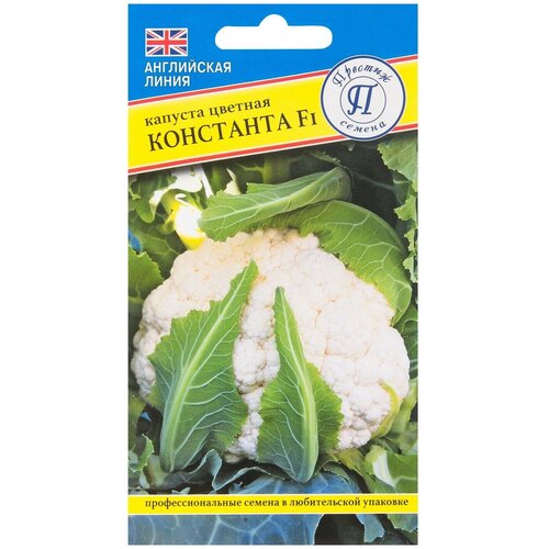 ���� ������ ������� ������� 