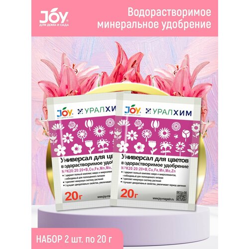       JOY, 2   20   -     , -, 