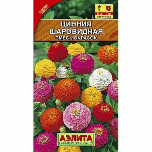 ���� ������ ������ ����������, �����, ����������, (������) 0,5�, ������ �� 41 ���