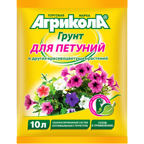 ���� �������� ����� ��� ������� 10 �, ������ �� 169 ���