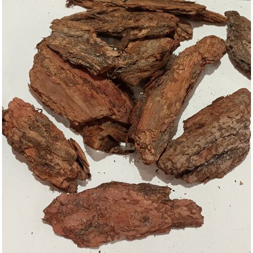 ���� ���� ��������� �����������, 4-10 ��, 1 ����� 7 ��, ������ �� 2150 ���