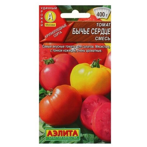 ���� ������ ����� 