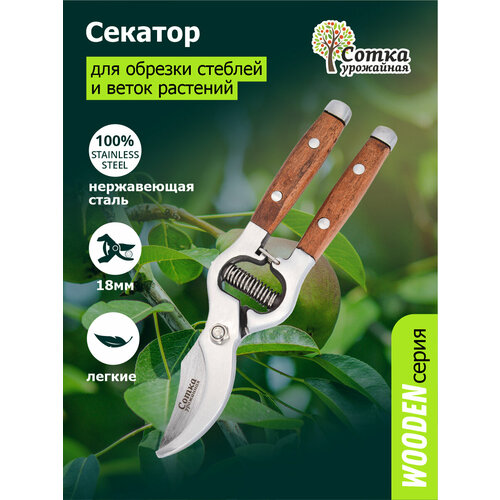 ���� ������� `��������� ����� �������` �������, ����������������, ��� ������� 200 ��, ������ �� 1326 ���