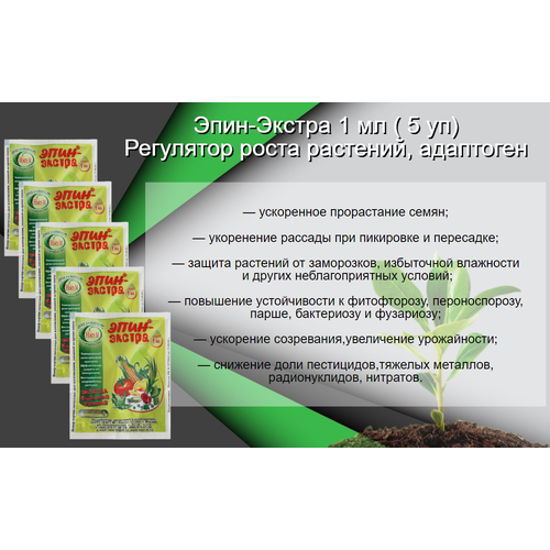 ���� ����-������ 1 �� ( 5 ��) ��������� ����� �������� ���������, ������ �� 455 ���