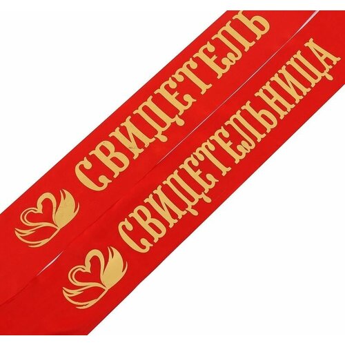 ���� �������� ���� 