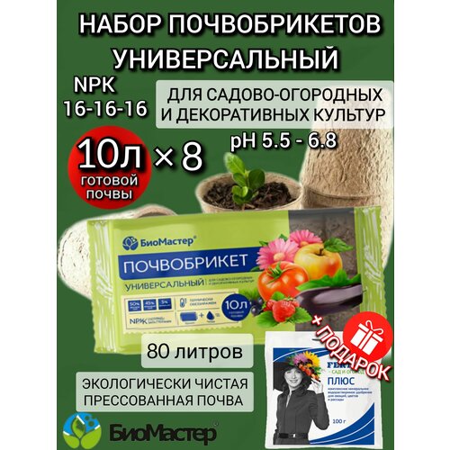 ���� ����������� ���������, ����� ��� ������� ������ � ������ ������������� 10�, 8 ��., ������ �� 2566 ���