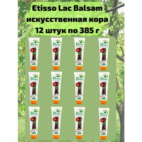   12 .         ,   , 385 Etisso / Lac Balsam,   16388 