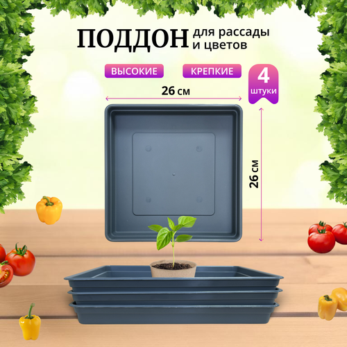     26026040, , ,  4,   555 