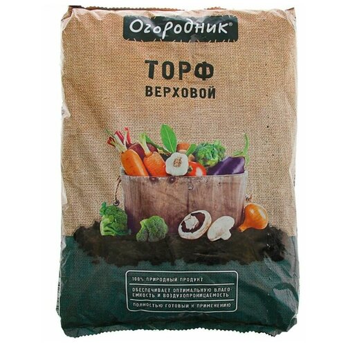 ���� ���� ��������� ��������, 9 �., ������ �� 704 ���