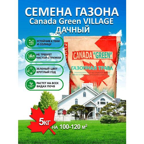 ���� �������� ����� ������ ������ ���� ������ Village 5 ��/ ������, �������, �������� ������ ��� ������, ������ �� 3000 ���