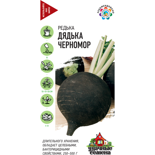 ���� ������. ������ ������ 