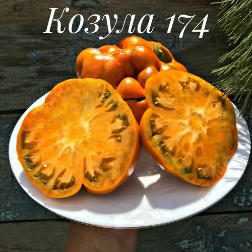 ���� ������������� ������ ������ ������ 174, ������ �� 102 ���