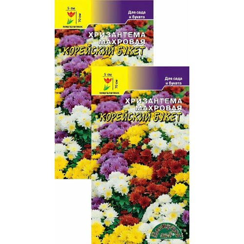 ���� ���������� �������� ��������� ����� (0,02 �), 2 ������, ������ �� 239 ���