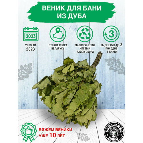 ���� ����� ��� ���� �������. ������ ��� ���� � �����, ����������, �������������� � ������ ������. ������ �����, ������ �� 517 ���