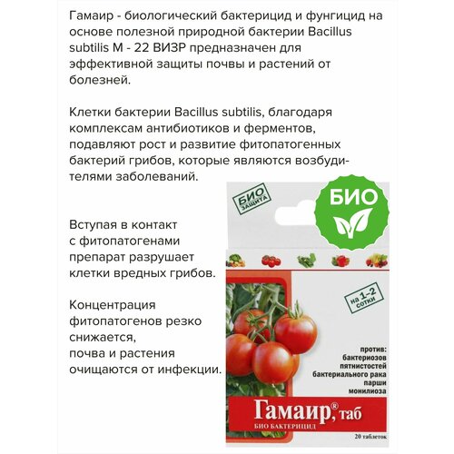 ���� ���-���������� ���� ��� ���������� 