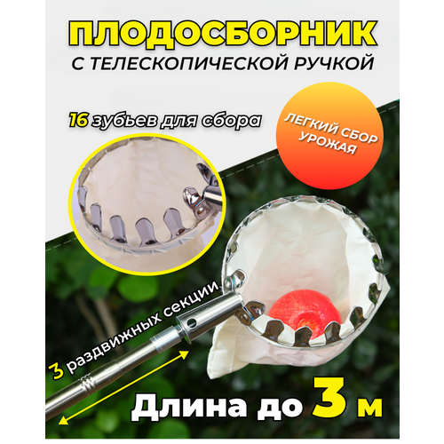 ���� ������������ � ��������������� ������, ����� �� 3 ������, ������ �� 1952 ���