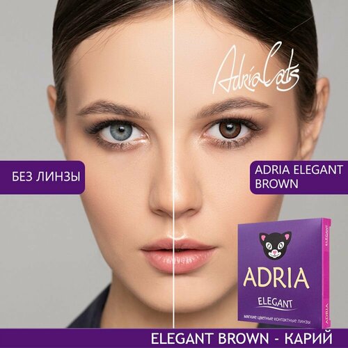    ADRIA Elegant, 2 ., R 8,6, D -6,5, brown, 1 .   -     , -, 