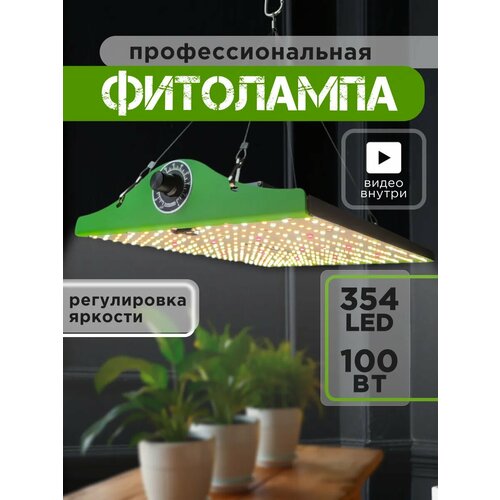 ���� ��������� 100�� Quantum Board �� ������ ��������, ������ �� 7770 ���