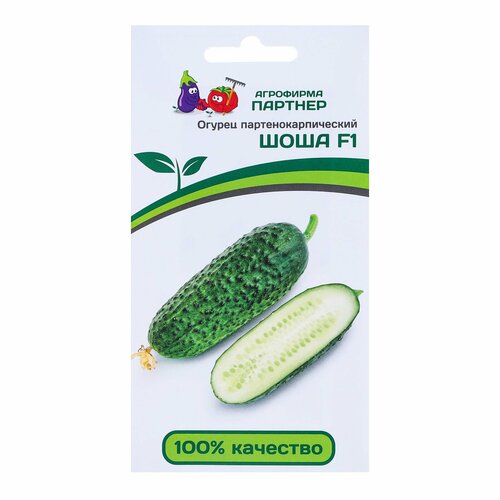 ���� ������ ������ 