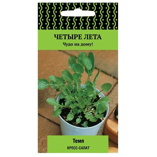 ���� ������ ����� ������ ���� �����-����� ���� 1 �, ������ �� 45 ���