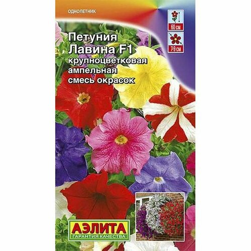 ���� ������ ������� ������ F1 ��������. ���������, ����� (����������) (������) 10��, ������ �� 64 ���