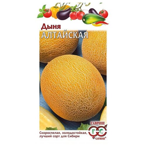 ���� ������ ������ ���� ��������� 1 �, ������ �� 245 ���