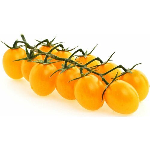 ���� ������������� ������ ����� ������� ���������� ������, ������ �� 102 ���