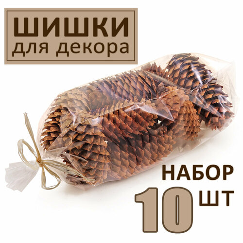 ���� ����� ��� ������ ���������� ����������� ������ ����� ��� ������� � ����������, ����� 10 ��, ������ �� 356 ���