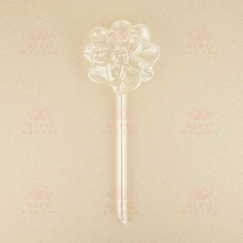 ���� ��������� ��� �������� ���������� ����������� � ����� ������, ������ �� 369 ���