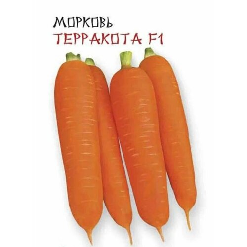 ���� ������������� ������ ������� �������� F1, ������ �� 125 ���