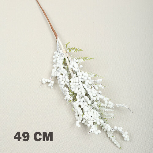 ���� �������������� ��������� (������� ����� 49 ��), ������ �� 699 ���