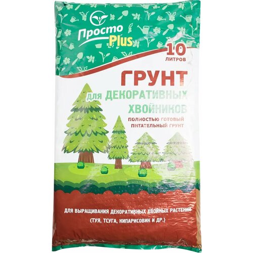 ���� ����� ��� ������������ ��������� ������Plus 10 �, ������ �� 629 ���