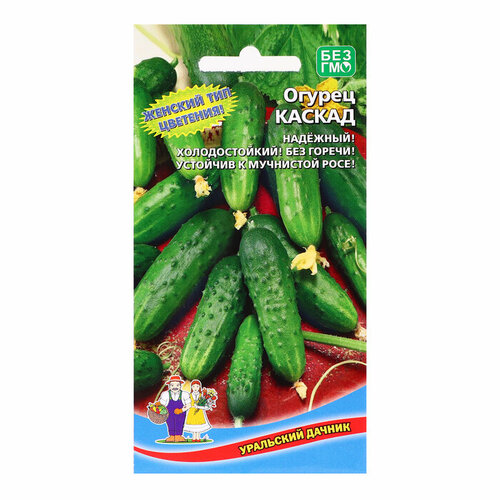 ���� ������ ������ 