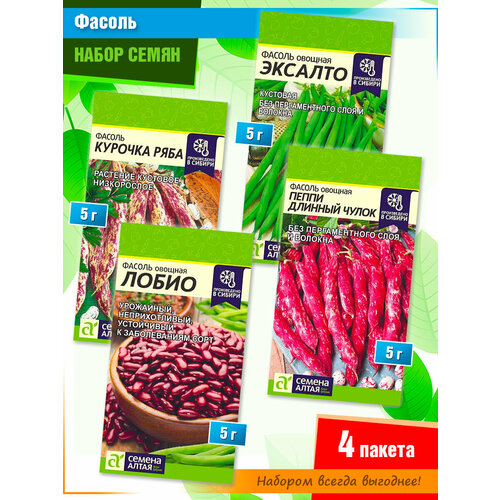 ���� ����� ����� ������ �� ������ ����� (4 �����), ������ �� 295 ���