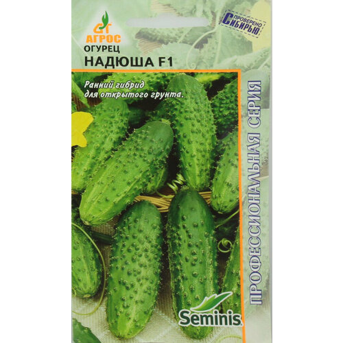 ���� ������ ������ ������ F1 8�� �� ������ (�����), ������ �� 58 ���